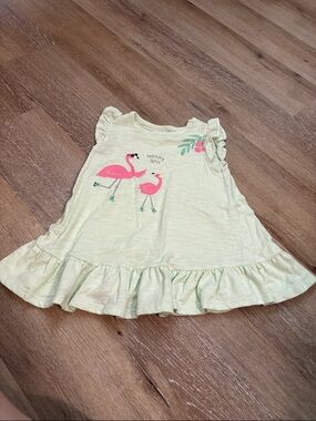 Baby Girls Light Mint Ruffle Dress with Pink Flamingo Graphic